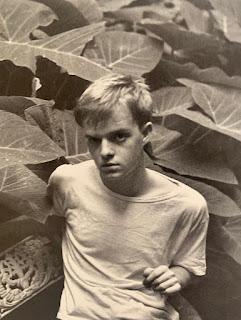 CUENTOS COMPLETOS (1943-1982), DE TRUMAN CAPOTE. LO INOCENTE Y LO SÓRDIDO.