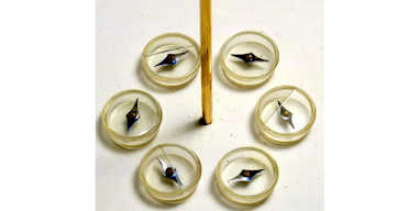 Inducción electromagnética: La transición del solenoide al motor eléctrico.