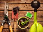 Entrevista Manuel Sausor, Gerente Tecnocultivo: Cómo Convertirse Líder Grow Shops Online