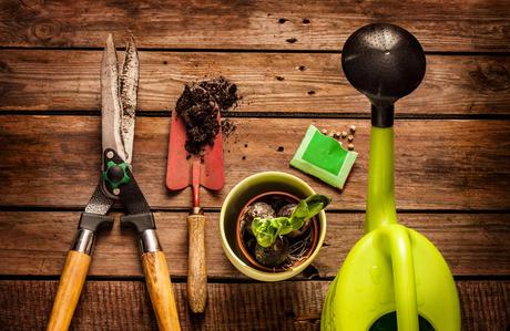 Entrevista a Manuel Sausor, Gerente de Tecnocultivo: Cómo Convertirse en el Líder de los Grow Shops Online Entrevista a Manuel Sausor, Gerente de Tecnocultivo: Cómo Convertirse en el Líder de los Grow Shops Online