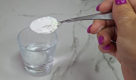 Confit de pato con ciruelas y salsa de naranja