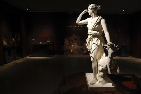 Caos y Cosmos caosycosmosde