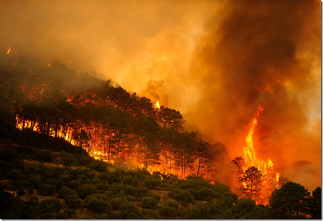 incendios-forestales
