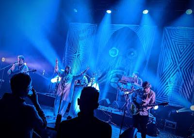 Infringement - Black Science and White Lies (2024)