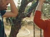 donde pasa silencio -hermanos