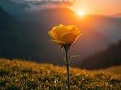 6.051 amanece poco poco...