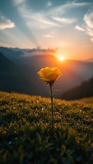 6.051 - AMANECE POCO A POCO... 6.051 - AMANECE POCO A POCO...