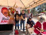 Sexto Festival de Adopción Canina y Felina en San Luis Capital encuentra hogar para más de 50 mascotas