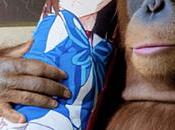 Miércoles controvertido