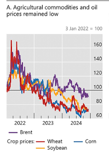 Un año de crueldad: El costo de un fracaso miserable
