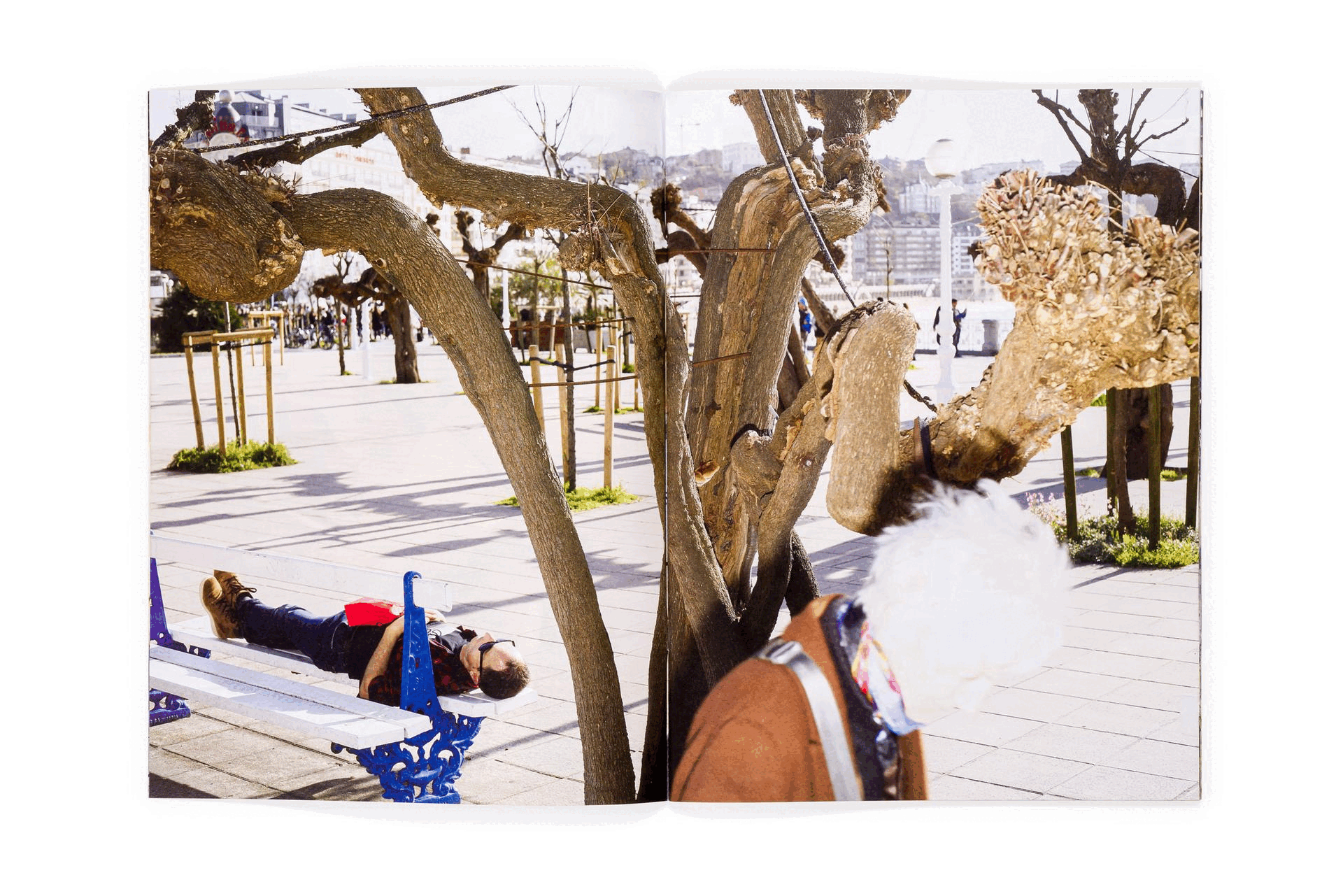 La nueva exploración visual de Ricardo Cases La nueva exploración visual de Ricardo Cases