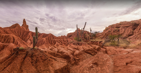 Desierto de la tatacoa
