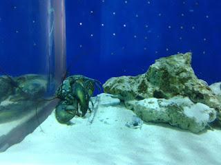 Sitios turisticos de Medellin