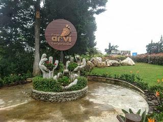 MEDELLIN: DIVERSION Y CULTURA