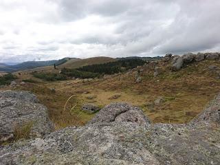 Piedras de chivo negro
