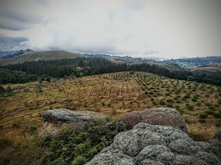 Piedras de chivo negro
