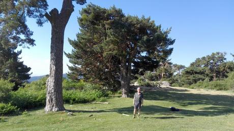 CERRO DE LOS ÁLAMOS BLANCOS (Por novena vez) CERRO DE LOS ÁLAMOS BLANCOS (Por novena vez)