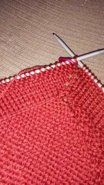 CALENDARIO DE ADVIENTO DE BEAGLE KNITS 2024