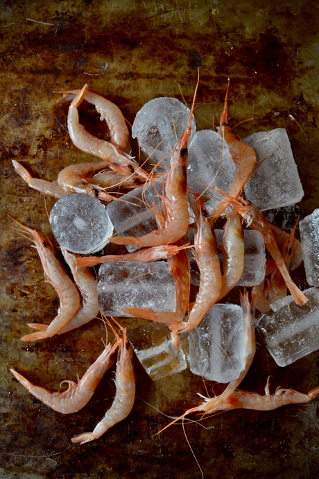 tartaletas-de-gambas-merluza-y-bechamel