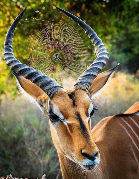 La DGT vigiló comidas y cenas de Navidad. La DGT vigiló comidas y cenas de Navidad.