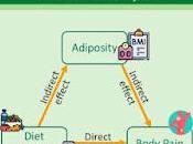 Comer diario dieta saludable alivia dolor crónico