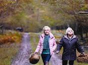 Cuando otoño: Muerte entre setas