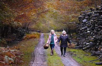 Cuando cae el otoño: Muerte entre las setas