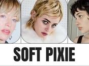 Soft Pixie, para animan pelo corto