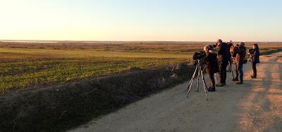 Villafáfila prismáticos