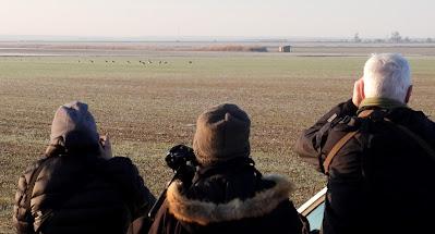 Villafáfila prismáticos