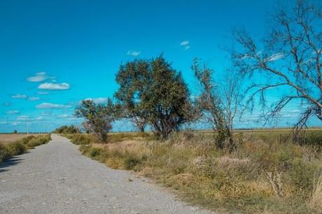 Técnicas para hitchhiking en la carretera de forma segura