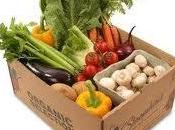 clave, consumir menos, igual consumo inteligente