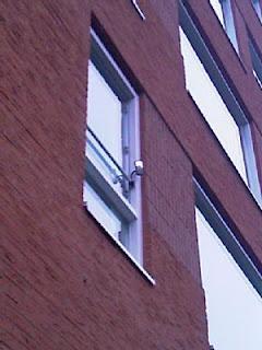 Profesionalidad hasta en el cotilleo