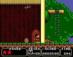 Land of Illusion Starring Mickey Mouse (1992)