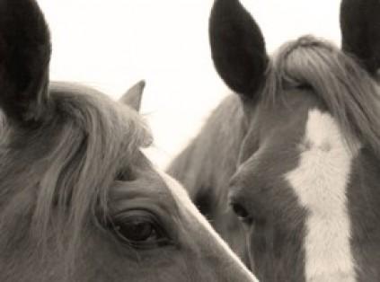 Fuera de Contexto : Asesinato y Sexo