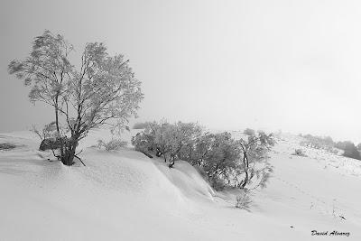 ¿Se puede atrapar en una imagen la sensación de frío?
