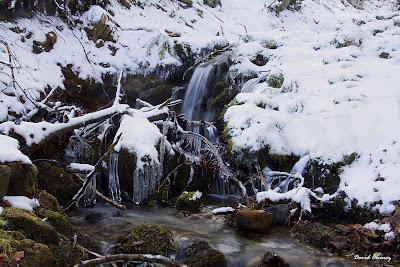 ¿Se puede atrapar en una imagen la sensación de frío?