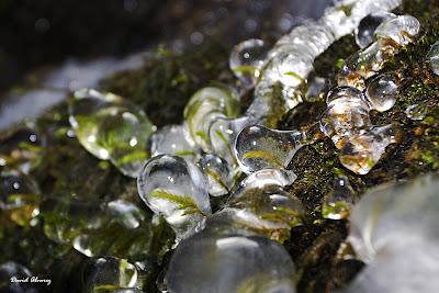 ¿Se puede atrapar en una imagen la sensación de frío?