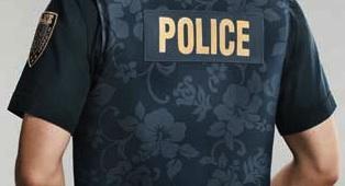 Gráfica para Hawaii 5-0