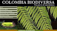 Fondo de Becas Colombia Biodiversa 2012