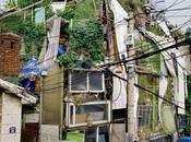 polychroniadis: ‘Accidental House’, photography Eric...