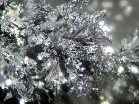 Cómo hacer un bosque cristalino bosque cristalino