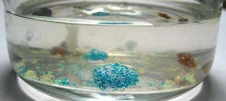 Cómo hacer un bosque cristalino Bosque cristalino