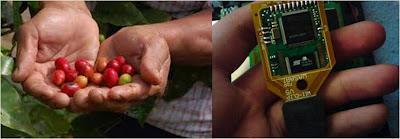 De la paradoja de la productividad a la productividad de la paradoja.