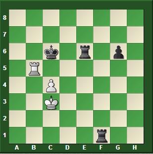 ¡Pase Mr. Bobby! (59)