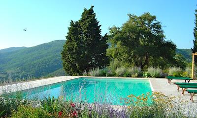 PISCINAS RUSTICAS Y ACTUALES