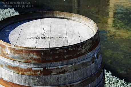 Caballito de cabalgata con bolso