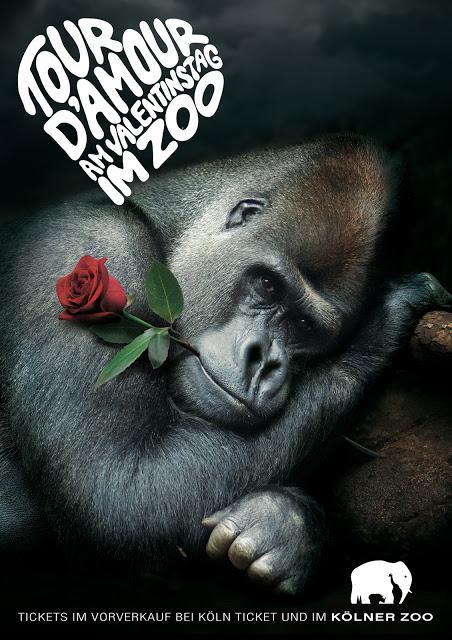 El tour del amor por el Zoo
