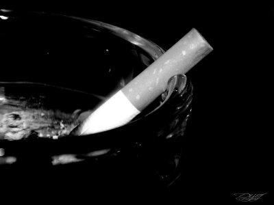 Reflexión visual 13-2...13-31 Liberación 1