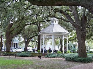 Savannah: Spanish Moss